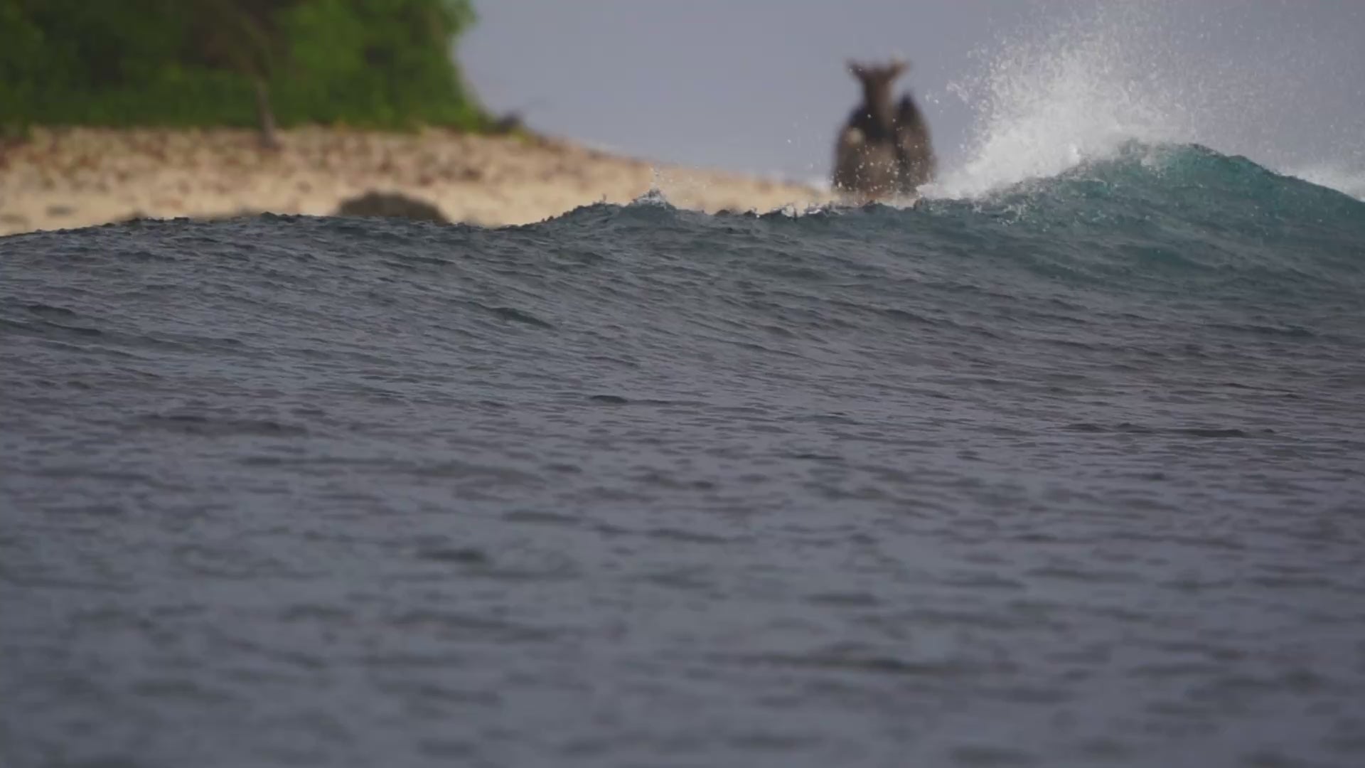 Carregar vídeo: Ash